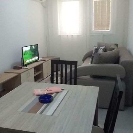 Apartman Jevtic 1 Gornja Toplica Ngoại thất bức ảnh